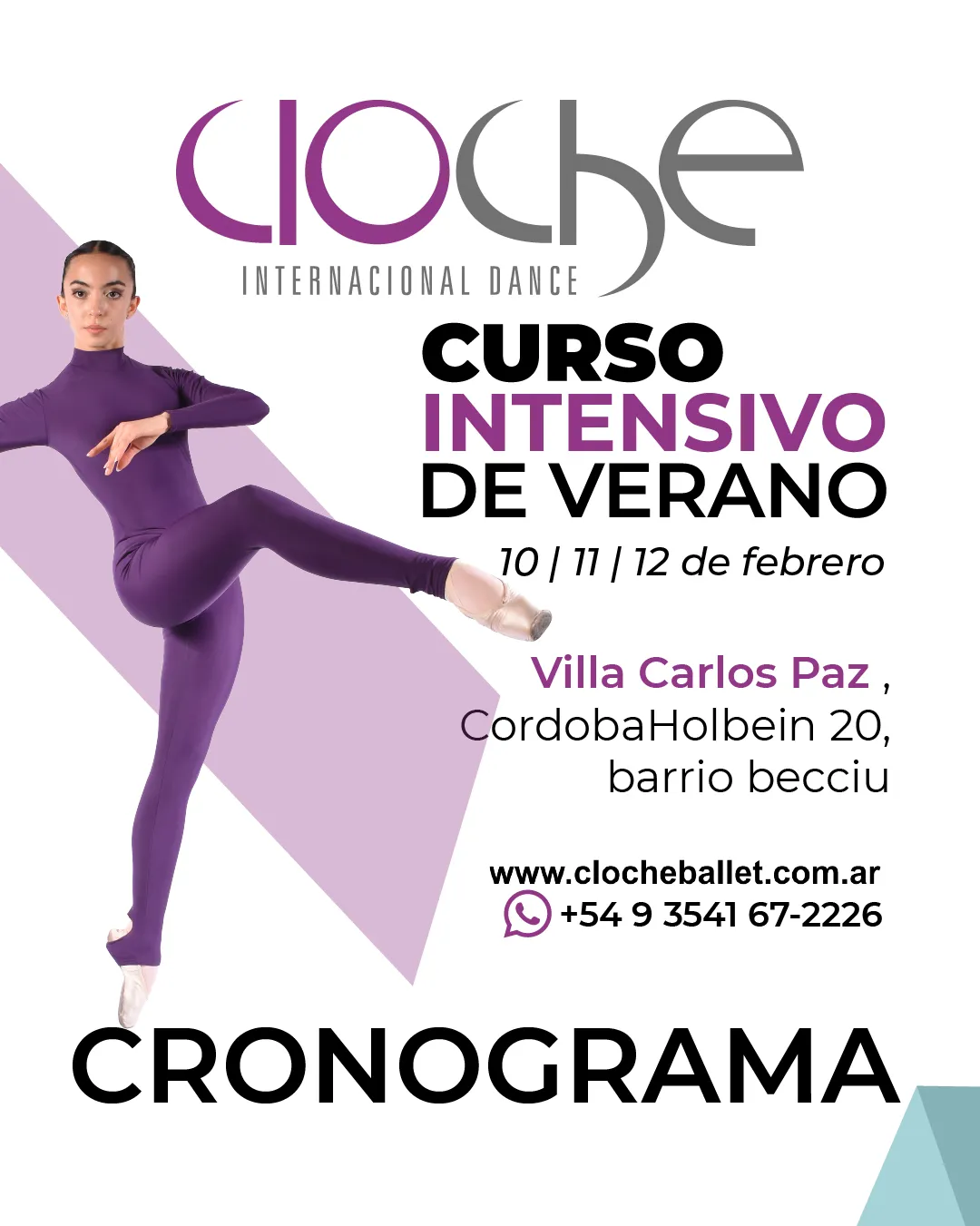 Cronograma VCP 1
